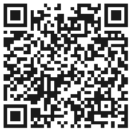 Kod QR — Excellent PRO Quick Gel in Bottle 11g 013
