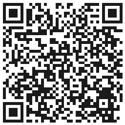 Kod QR — Excellent PRO Top No Wipe With Effect AURORA FLAKES 11g